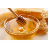 Linden Honey 500g