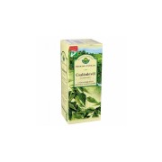 Nettle leaf (Urticae folium) Tea filters