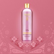 Tatratea Hibiscus & Red Tea Liqueur 37% 0,7l