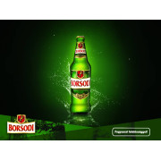 Borsodi Beer Case