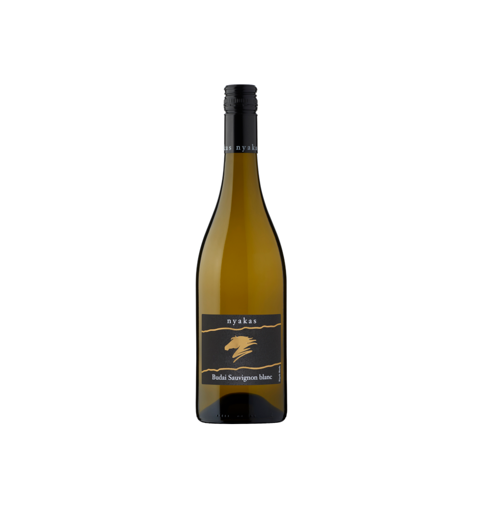 Sauvignon blanc  Budai 2024 by Nyakas