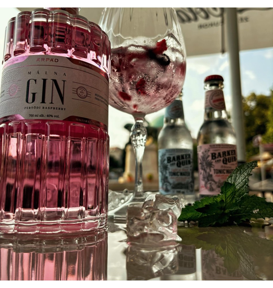 Gin Raspberry Gin Raspberry Premium by Arpad