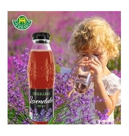 Lavender Premium Syrup/Cordial by Herbaria 0.5L