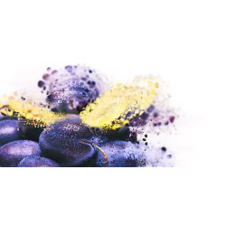 CHAMPION Premium Aged PLUM by Arpad