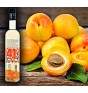 Apricot