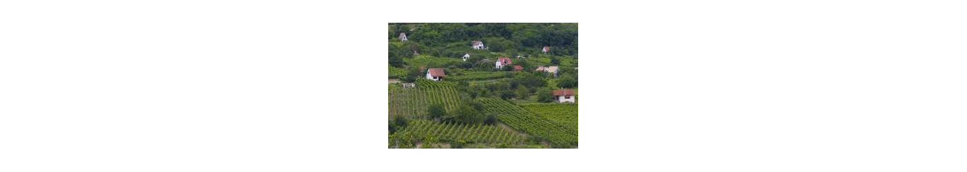 Red Wines from  Eger - Szekszárd-Villany