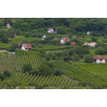 Red Wines from  Eger - Szekszárd-Villany