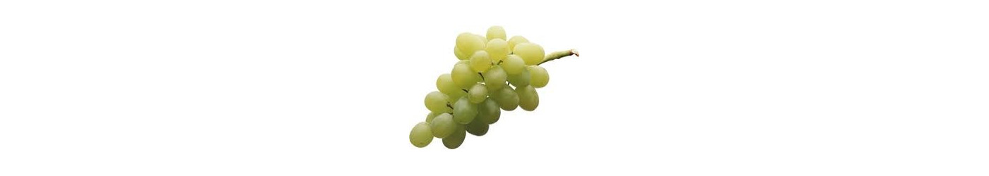 Grape