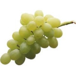 Grape Based