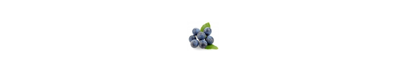 Sloe Palinkas