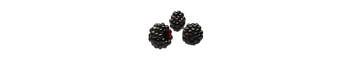 Blackberry Palinkas